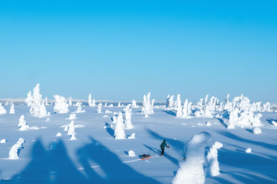 Skitur med pulk i snødekt landskap